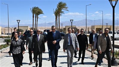 محافظ جنوب سيناء يؤكد تعزيز الشراكة مع جامعة الملك سلمان لدعم المشروعات التنموية والخضراء