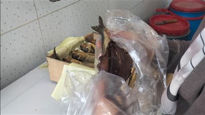 قبل شم النسيم.. ضبط فسيخ ورنجة غير صالحة للاستهلاك في حملات مكثفة بكفر الشيخ
