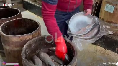 لجنة تجار الأسماك بغرفة القاهرة: زيادة في المعروض واستقرار السوق مع حلول شم النسيم