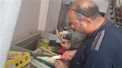 ضبط رنجة ومخالفات غذائية خلال حملة مفاجئة في شرق شبرا الخيمة