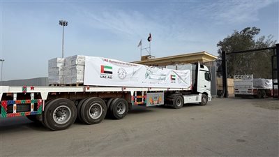 قافلة إماراتية تحمل 53 طن مساعدات طبية تدخل غزة دعمًا للقطاع الصحي