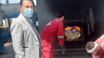 إعدام كميات من النباتات والعقاقير المخدرة بأسيوط