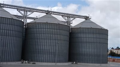 txt