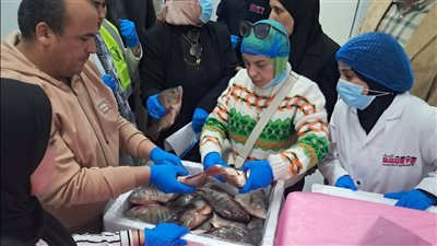 ضبط 2.3 طن أسماك غير صالحة للاستهلاك الآدمي في مطوبس بكفر الشيخ