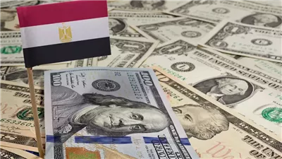 2.7 مليار دولار تدفقات الأموال الساخنة في مصر خلال الأسبوع الحالي 