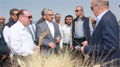 محافظ بني سويف يفتتح موسم حصاد القمح ويؤكد جاهزية 30 موقعًا لاستلام المحصول