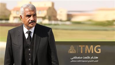 هشام طلعت: 