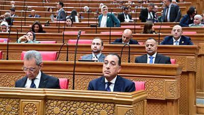 رئيس الوزراء من مجلس النواب: أي مساس بسيادة الدول العربية يمثل تهديدا مباشرا للاستقرار الإقليمي