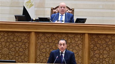 مجلس النواب يحيل بيان رئيس الوزراء إلى اللجان النوعية 