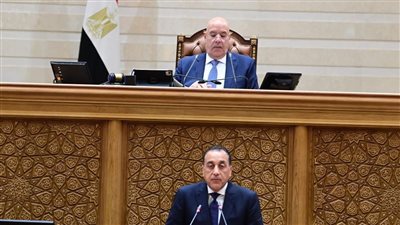 مدبولي: الاعتماد على الطاقة المتجددة بنسبة 40% في مصر مع حلول 2028 