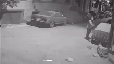 القبض على مدير بنك شهير بتهمة إطلاق الرصاص على كلب بأسيوط