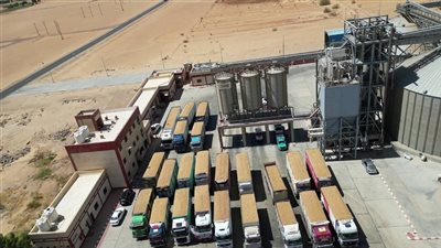 زراعة الوادي الجديد: توريد 60 ألفًا و729 طن قمح إلى صوامع المحافظة