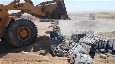 الوادي الجديد تشن حملات إزالة موسعة على تعديات بأراضي الدولة