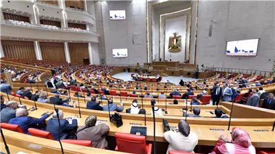 صناعة النواب تطالب بخطة تسويق واضحة لغزل المحلة