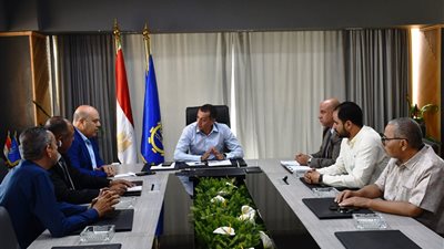 التخطيط تعتمد 220 مليون جنيه لاستكمال مشروع الإحلال والتجديد وإعادة تأهيل مساكن المغتربين بقرى نصر النوبة