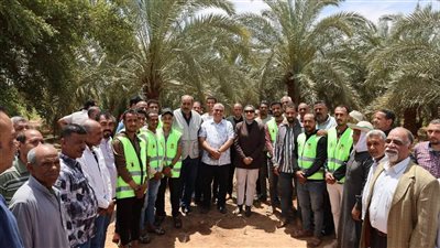 محافظ الوادي الجديد تشهد إطلاق طفيل الترايكو جراما لمكافحة آفات النخيل بمركز الخارجة
