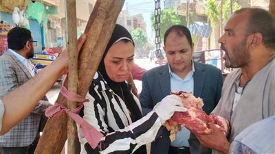 ضبط طن ونصف لحوم فاسدة وتحرير 28 مخالفة ببني مزار في المنيا 