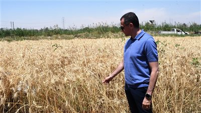 خطة لتوريد 600 ألف طن.. محافظ أسوان يعطى إشارة البدء لموسم حصاد القمح 2026 