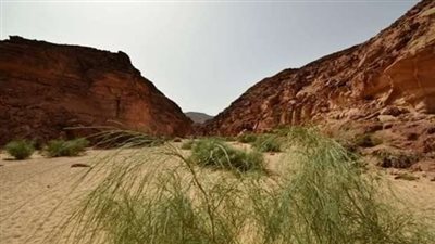 وادي غزالة بمدينة دهب نموذج للسياحة البيئية وتسلق الجبال والكهوف والكثبان الرملية وأشجار 