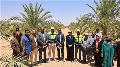 على مساحة 800 فدان.. محافظ الوادي الجديد تتفقد مشروع استثمار زراعي بقرى جورمشين بباريس