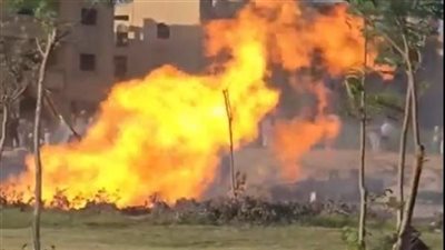 دون إصابات.. الحماية المدنية تسيطر على حريق في نخل بأرض فضاء بالمنوفية