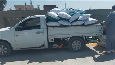 البحيرة تواصل توريد القمح بمؤشرات إيجابية.. و7360 طنًا إجمالي ما تم توريده حتى اليوم