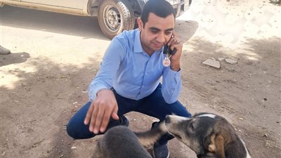 تحصين 17 كلبًا بعد عقر 12 شخصًا بسوهاج.. وخروج المصابين بعد تلقي العلاج