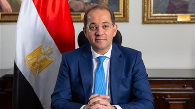 وزير المالية يقرر تمديد فترة الإقرارات الضريبية العقارية حتى 30 يونيو