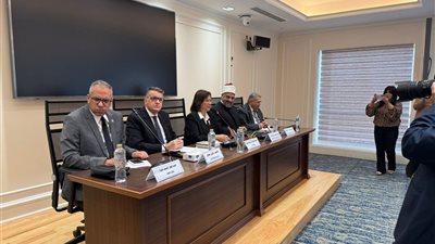 رئيس تضامن النواب تدعو لتوثيق الطلاق لحماية الأمهات 