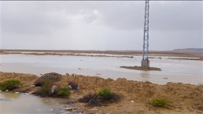 الري: سيول في بعض أودية العريش ورفح والشيخ زويد دون أي أضرار