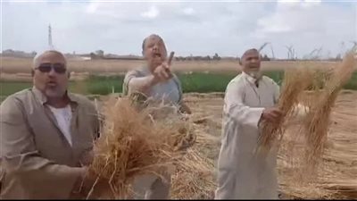 بعد تصالح الطرفين وتسليم المضبوطات.. إخلاء سبيل المتهمين في واقعة سرقة محصول القمح بالشرقية
