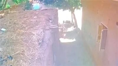 تأجيل أولى جلسات محاكمة المتهم بإشعال النيران في عمه بالمنوفية