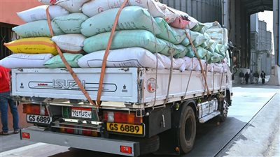 توريد 15223 طن قمح بشون وصوامع البحيرة