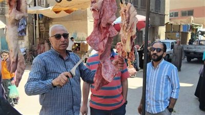 تحرير 244 مخالفة تموينية وضبط تلاعب في 3173 لتر سولار بالمنيا