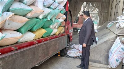 محافظ المنوفية: توريد 24 ألف طن قمح منذ بدء الموسم.. وتكثيف اللجان الميدانية لدعم المزارعين