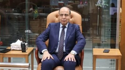 محافظ المنيا 