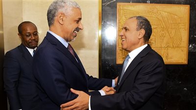 وزير الخارجية يستقبل رئيس بنك التنمية الإفريقي لتعزيز التعاون المشترك