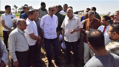 محافظ أسيوط: زراعة ما يقرب من 205 آلاف فدان وتوريد 67 ألف طن حتى الآن