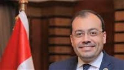 متحدث حماة الوطن: أي اعتداء على الخليج هو اعتداء على مصر