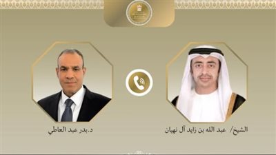 وزير الخارجية يؤكد لنظيره الإماراتي تضامن مصر الكامل لكل ما تتخذه أبوظبي من إجراءات لحماية أمنها واستقرارها