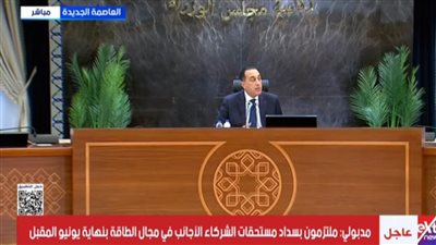 رئيس الوزراء: إلزام المصانع الجديدة باعتماد جزء من الكهرباء من الطاقة المتجددة