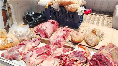 مكرونة ودقيق مدعم ولحوم فاسدة.. ضبط 75 مخالفة تموينية في الفيوم
