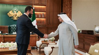 أبرزهم محمد العبار.. الرئيس السوري يستقبل وفدًا اقتصاديًا إماراتيًا
