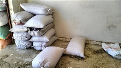 تموين الإسكندرية تضبط طن دقيق خلال حملة على الأسواق
