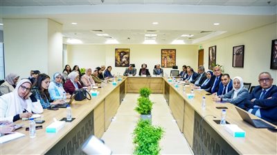 الاجتماعات التشاورية للأمانة الفنية للجنة الوطنية