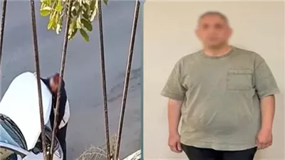 المتهم     