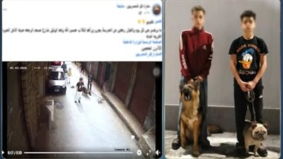 المتهمين 