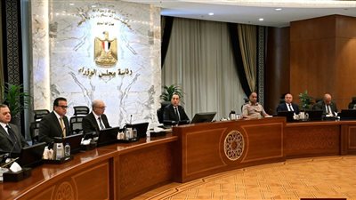 أبرزها بشأن سلامة الغذاء.. 4 قرارات جديدة لمجلس الوزراء خلال اجتماعه الأسبوعي