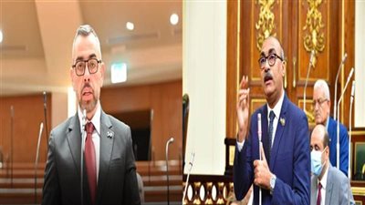 النائب إيهاب منصور والنائب محمد فؤاد