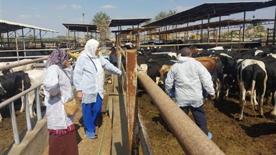  الحملة القومية ضد الحمى القلاعية والوادي المتصدع    